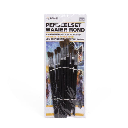 Benson Penseelset 12-Delig - Mix van Ronde en Platte Kwasten