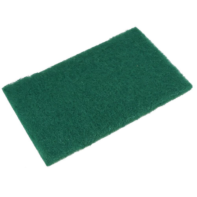Benson Schuurpads 10-delig - Multifunctioneel - 14,5 x 10 cm