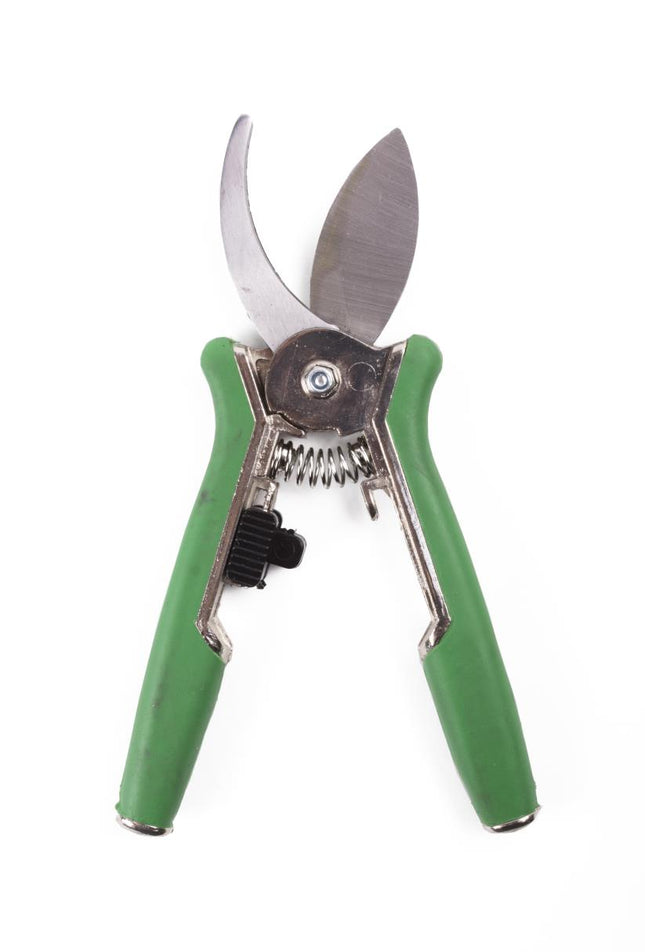 Benson Kromme Bloemensnoeischaar - 15 cm - 18 mm