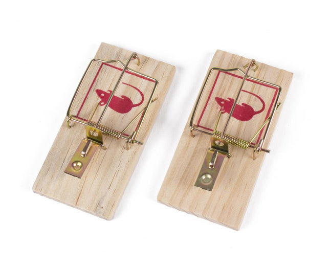 Benson Houten Muizenvallen - Set van 2 - 10 x 5 cm - Ongediertebestrijding