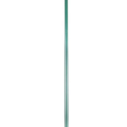 Benson Straatbezem Groen - Inclusief Steel 117 cm - 5 Rijen Borstels