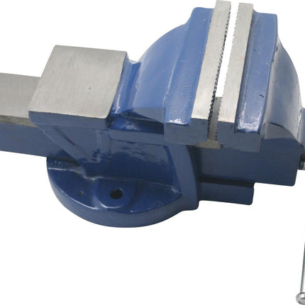 Dealzzz Vaste Bankschroef - 125 mm - 8 kg - Blauwe Hamerslaglak