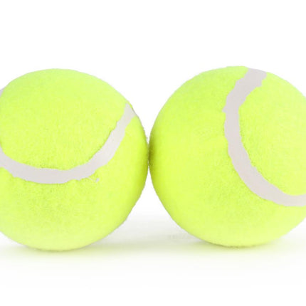 Benson Honden Tennisballen - Set van 2 - Duurzaam en Zichtbaar
