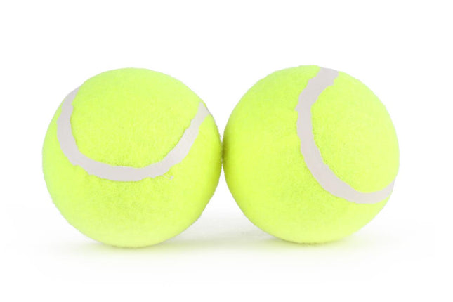 Benson Honden Tennisballen - Set van 2 - Duurzaam en Zichtbaar
