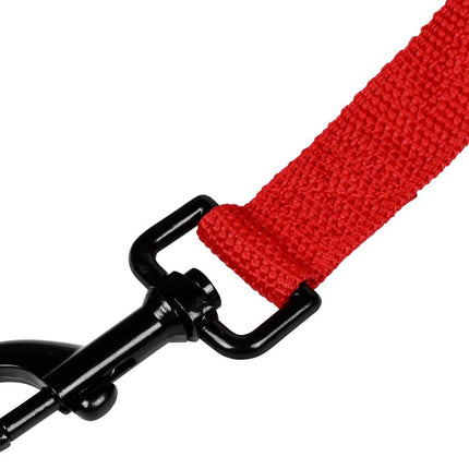 Benson Hondenriem Plat Comfort - 25 mm x 200 cm - Neopreen Handvat