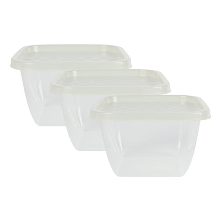 Benson Vershoudbakjes - 1,25 Liter - 3-delig - BPA-vrij - Magnetron & Vriezerbestendig