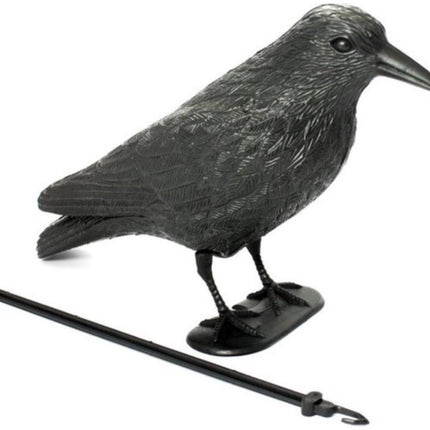 Vogelverschrikker kraai