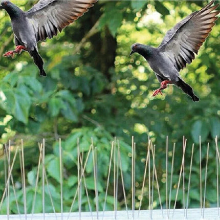 Benson Vogelpinnen - Set van 10 - 165 cm - Vogel- en Ongediertebestrijding