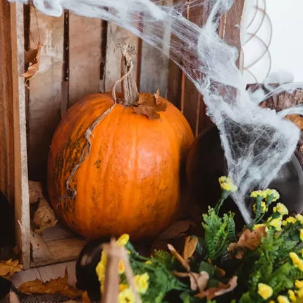 Malatec Kunstmatig Spinnenweb met 2 Spinnen - Halloween Decoratie
