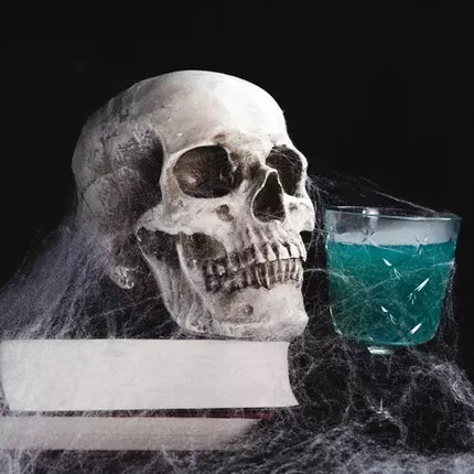 Malatec Kunstmatig Spinnenweb met 2 Spinnen - Halloween Decoratie
