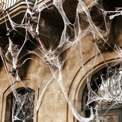 Malatec Kunstmatig Spinnenweb met 2 Spinnen - Halloween Decoratie