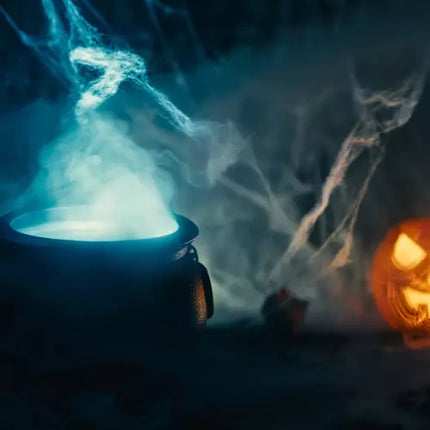 Malatec Kunstmatig Spinnenweb met 2 Spinnen - Halloween Decoratie