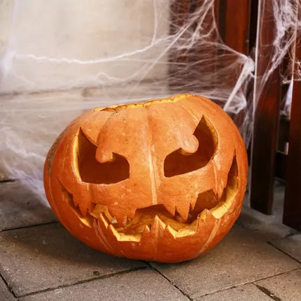 Malatec Kunstmatig Spinnenweb met 2 Spinnen - Halloween Decoratie