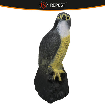 Repest Valk Vogelverschrikker - Realistisch Design - 40 cm