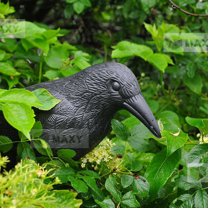 Repest Raven Vogelverjager - Levensechte Roofvogel - 33 x 20 cm