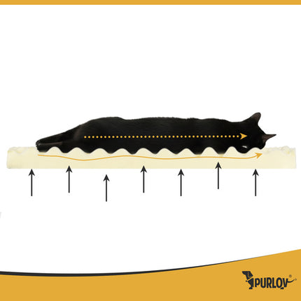 Purlov Ergonomisch Huisdierbed - Maat S - 65 x 55 x 18 cm - Zwart