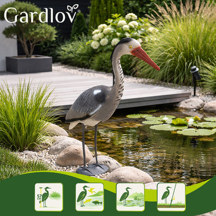 Gardlov Tuinbeeld Reiger - 66 cm - Realistische Tuindecoratie op Poot