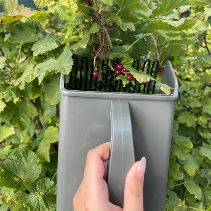 Gardlov Fruitplukker - Handmatig - Voor Bessen en Kleinfruit - Grijs