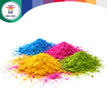 Holi Cow Holi Poeder Set - 10 x 100g - 10 Kleuren - Festival Fun