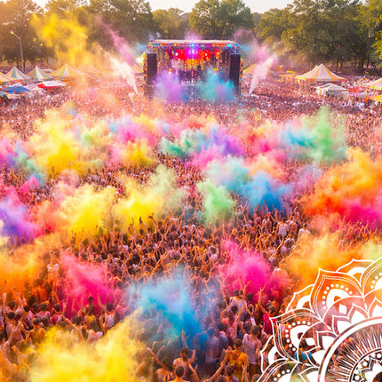 Holi Cow Kleurenpoeder Set - 6 x 100g - Holi Festival Poeder