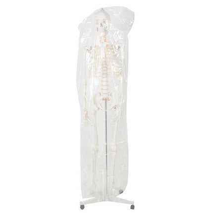 Malatec Anatomisch Menselijk Skelet - 180 cm - 1:1 Model op Standaard