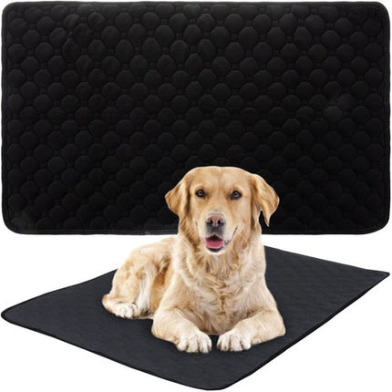 Purlov Kattenspeelgoed Hengel - Met Zuignap en Vogel - 95 cm