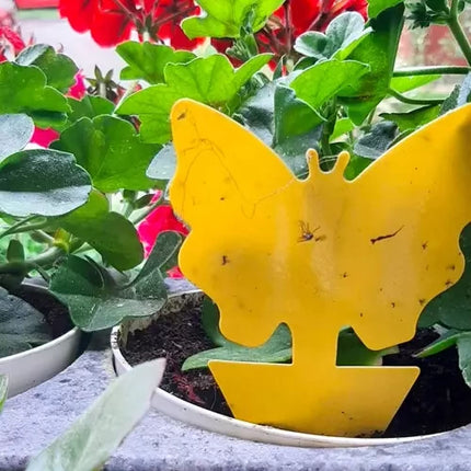 Repest Insectenvallen - Set van 12 - Gele Kleefstrips voor Planten