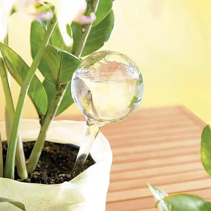 Gardlov Waterbollen voor Planten - 8 Stuks - 280 ml - Transparant