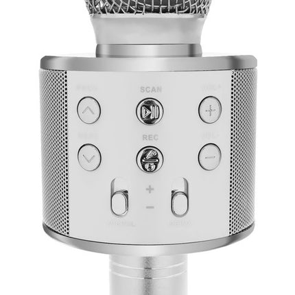 Izoxis Karaoke Microfoon - Draadloze Speaker - Zilver