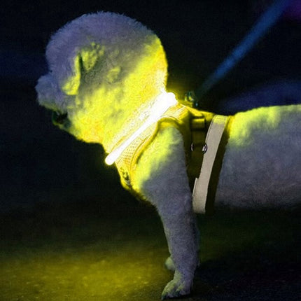 Purlov LED Lichtgevende Halsband - Oplaadbaar - Verstelbaar (20-70 cm) - Geel