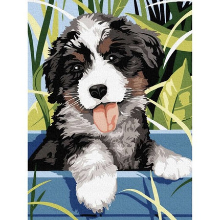 Maaleo Schilderen op Nummer - Hond - 40 x 30 cm - Frame