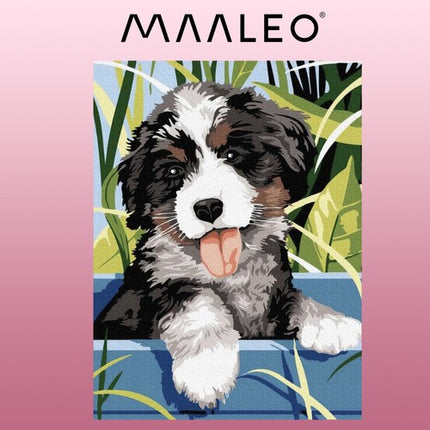 Maaleo Schilderen op Nummer - Hond - 40 x 30 cm - Frame