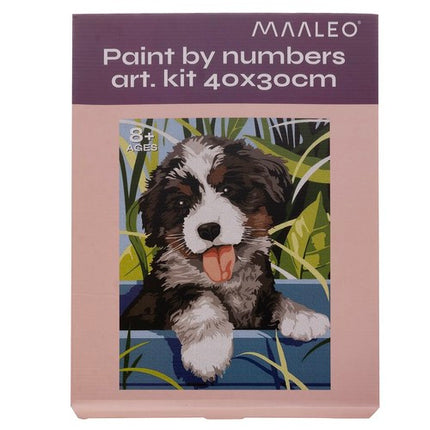 Maaleo Schilderen op Nummer - Hond - 40 x 30 cm - Frame