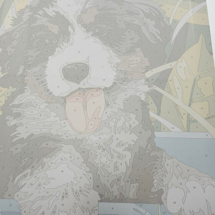 Maaleo Schilderen op Nummer - Hond - 40 x 30 cm - Frame
