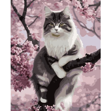 Maaleo Schilderen op Nummer - Kat - 40 x 50 cm - Incl. Frame