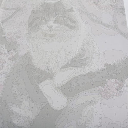 Maaleo Schilderen op Nummer - Kat - 40 x 50 cm - Incl. Frame