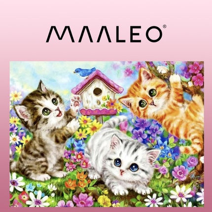 Maaleo Schilderen op Nummer - Poesjes - 40 x 50 cm - Frame