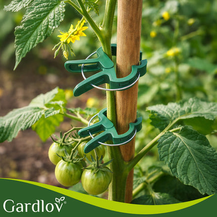 Gardlov Plantclips Set - 108 Stuks - 2 Maten - Groen