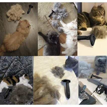 Purlov Ondervachtborstel - Voor Honden & Katten - Met Roestvrijstalen Blad - Zwart