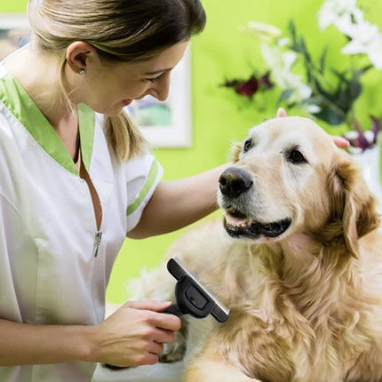 Purlov Ondervachtborstel - Voor Honden & Katten - Met Roestvrijstalen Blad - Zwart