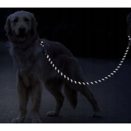 Purlov Reflecterende Hondenlijn - 3m - Voor Grote Honden - Zwart