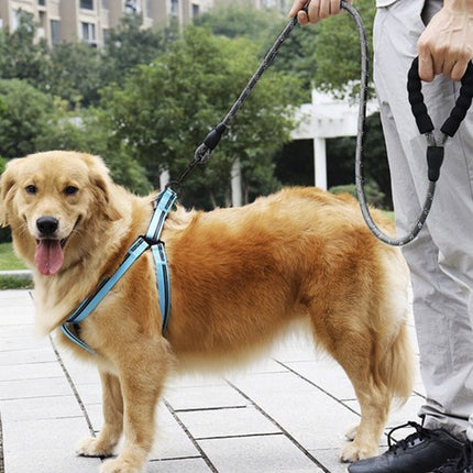 Purlov Reflecterende Trainingslijn - 5m - Voor Grote Honden - Zwart