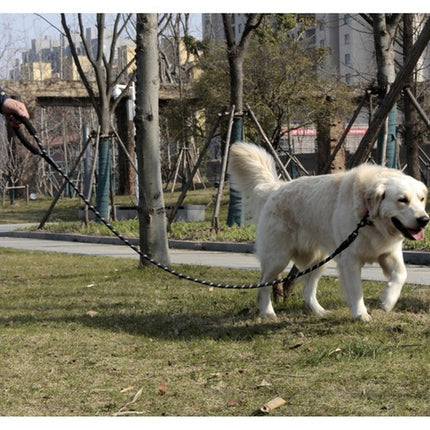 Purlov Reflecterende Trainingslijn - 5m - Voor Grote Honden - Zwart