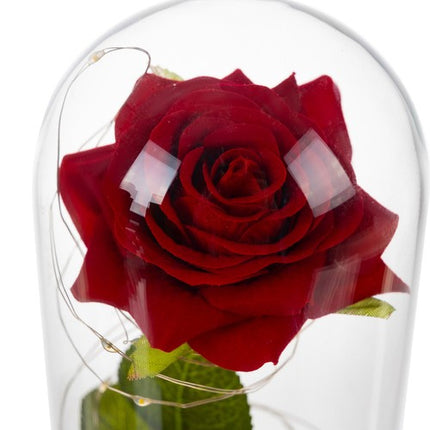 Malatec Eeuwige Roos in Glas met LED - Cadeauverpakking - Warm Wit