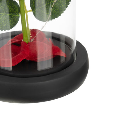 Ruhhy Eeuwige Roos in Glas - XL - Met LED Verlichting - In Cadeaubox