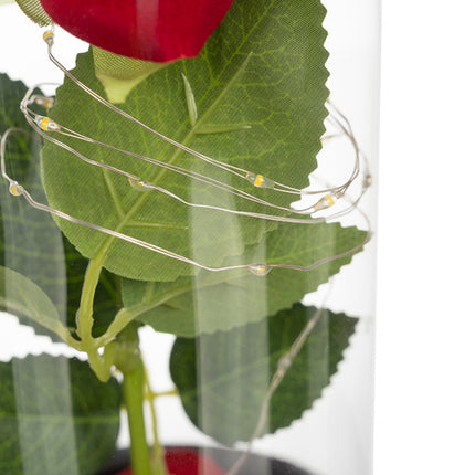 Ruhhy Eeuwige Roos in Glas - XL - Met LED Verlichting - In Cadeaubox