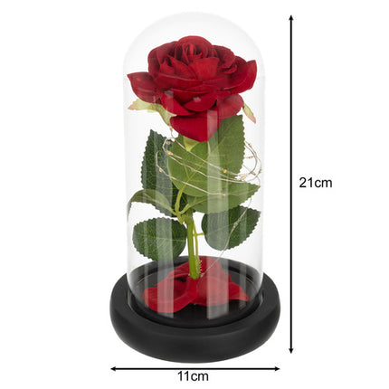 Ruhhy Eeuwige Roos in Glas - XL - Met LED Verlichting - In Cadeaubox