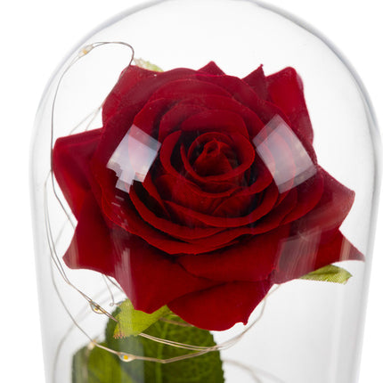 Ruhhy Eeuwige Roos in Glas - XL - Met LED Verlichting - In Cadeaubox