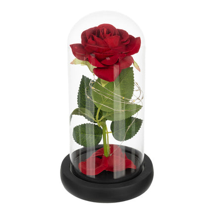 Ruhhy Eeuwige Roos in Glas - XL - Met LED Verlichting - In Cadeaubox