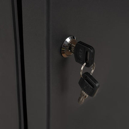 Malatec Sleutelkast - 48 Haken - Inclusief Labels en 2 Sleutels - Grafiet